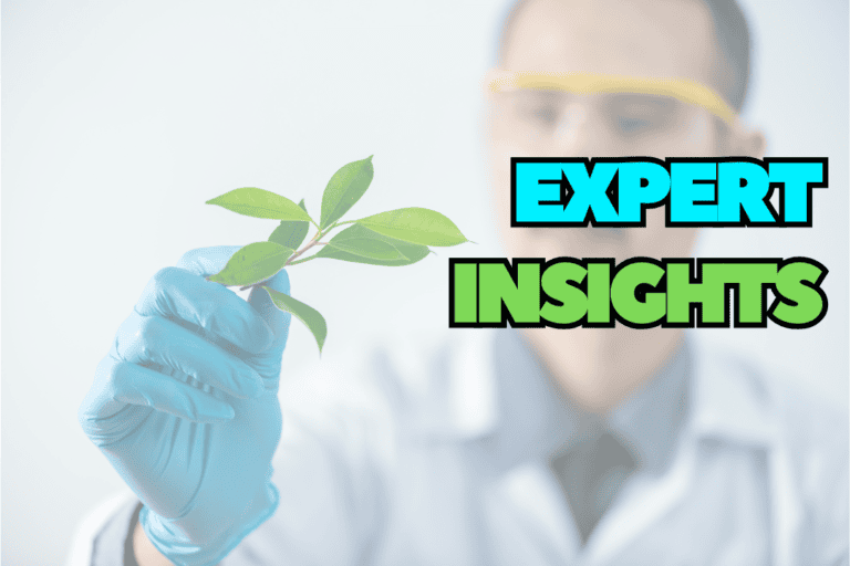 Climate Intel Expert Insights